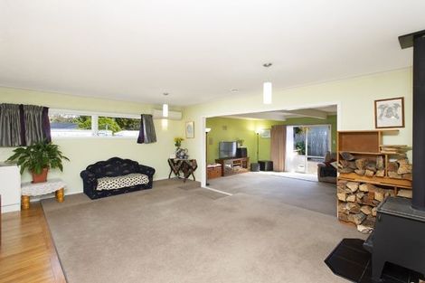 Photo of property in 155 Firth Street, Matamata, 3400