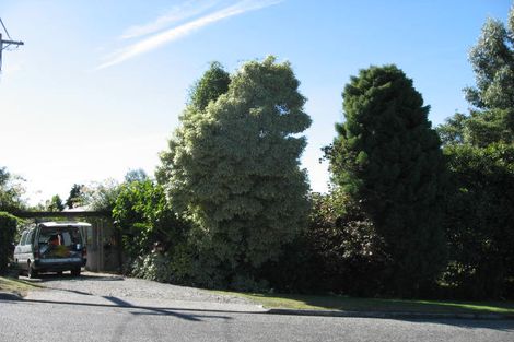 Photo of property in 24 Darby Street, Geraldine, 7930