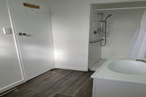 Photo of property in 306 Ulster Street, Whitiora, Hamilton, 3200