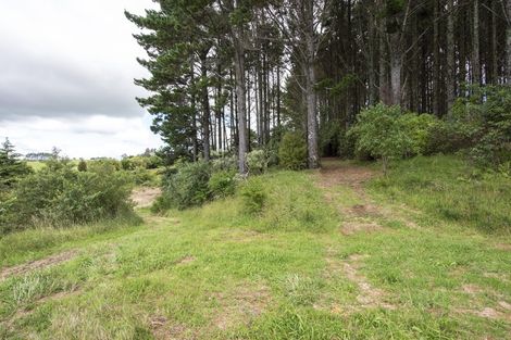 Photo of property in 325 Kaipi Road, Hillsborough, New Plymouth, 4372