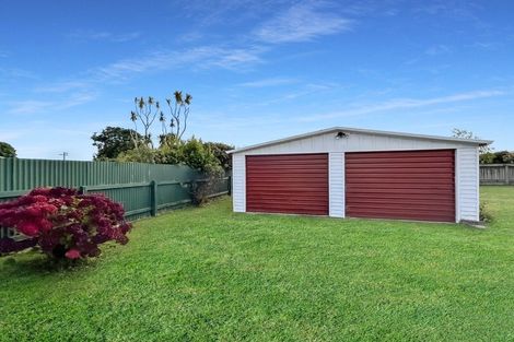 Photo of property in 29 Bledisloe Street, Levin, 5510