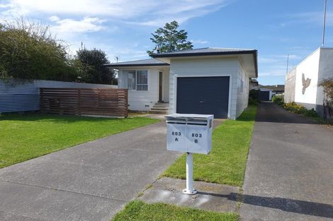 Photo of property in 803a Lane Street, Mahora, Hastings, 4120