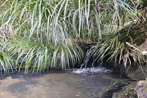 Photo of property in 121 Ohawini Road, Oakura, Hikurangi, 0184