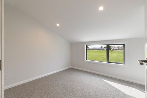 Photo of property in 10 Mangatainoka Lane, Awapuni, 4412