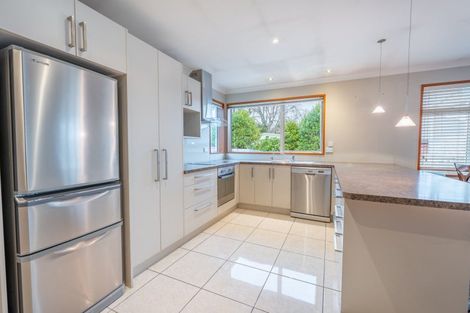 Photo of property in 115a Domain Avenue, Kensington, Timaru, 7910