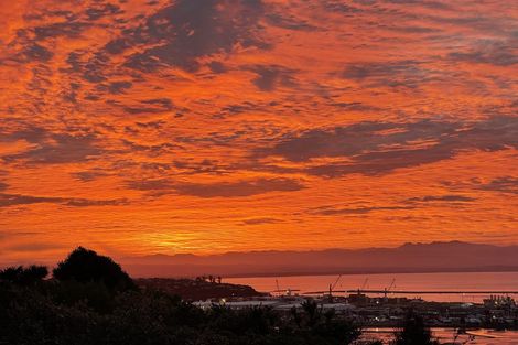 Photo of property in 39 Davies Drive, Atawhai, Nelson, 7010