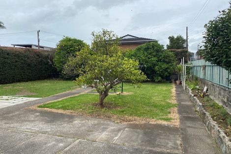 Photo of property in 22 Ferndale Road, Mount Wellington, Auckland, 1060