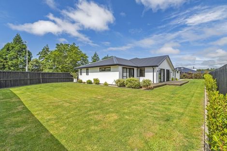 Photo of property in 54 Brook Street, Southbridge, 7602