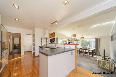 Photo of property in 50 Haydon Street, Roslyn, Palmerston North, 4414