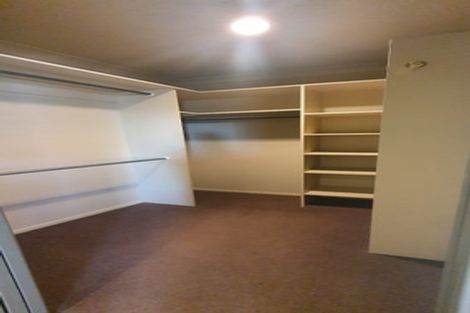 Photo of property in 21 Stella Place, Chartwell, Hamilton, 3210