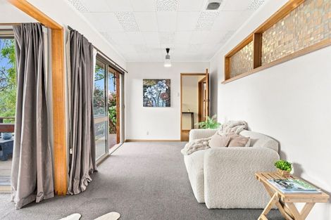 Photo of property in 3 Henry Street, Maori Hill, Dunedin, 9010