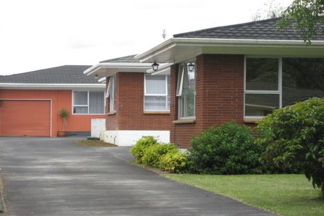 Photo of property in 2/161 Seddon Street, Pukekohe, 2120