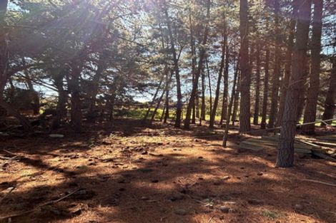 Photo of property in 117 Fullers Road, Woodend, Kaiapoi, 7691