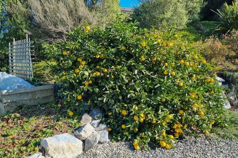 Photo of property in 43 Redvale Road, Redwood Valley, Richmond, 7081