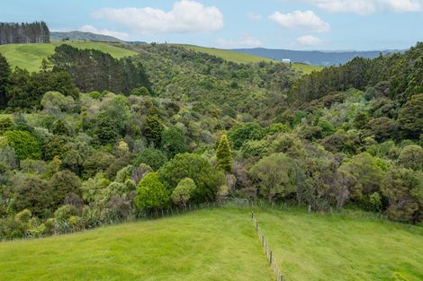 Photo of property in 55 M Greenwood Road, Leigh, 0972