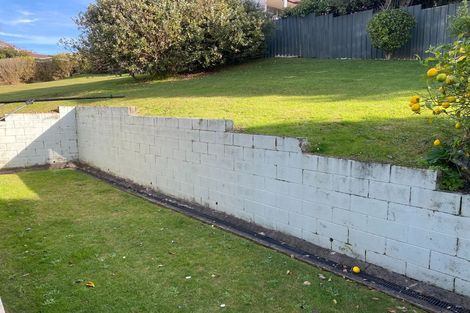 Photo of property in 22b Hazelwood Avenue, Dinsdale, Hamilton, 3204