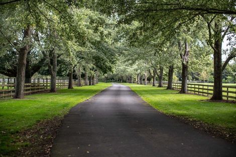 Photo of property in 844 Maungatautari Road, Maungatautari, Cambridge, 3494