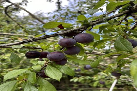 Photo of property in 44 Golf Road, Wakefield, 7025