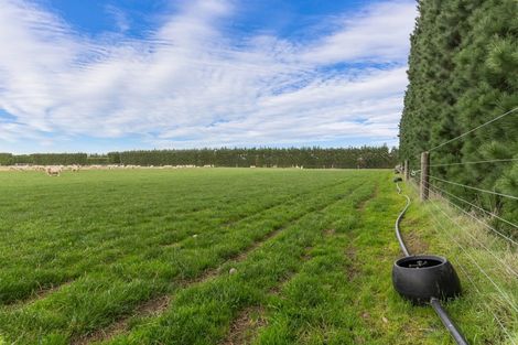 Photo of property in 214 Kivers Road, Burnham, Christchurch, 7677