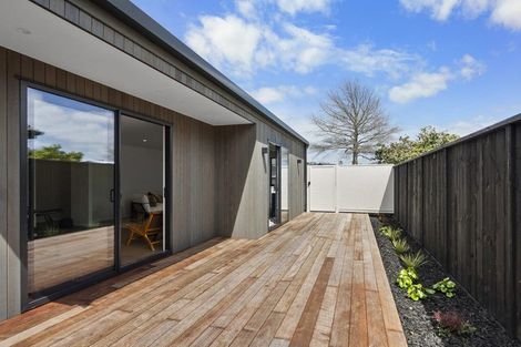 Photo of property in 2 Riverview Terrace, Fairfield, Hamilton, 3214