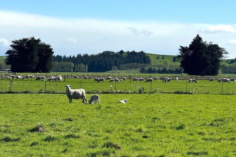 Photo of property in 47 Centre Bush Otapiri Road, Centre Bush, Winton, 9782