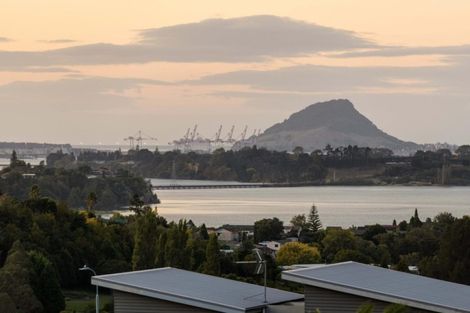 Photo of property in 17 Greenvale Place, Welcome Bay, Tauranga, 3112