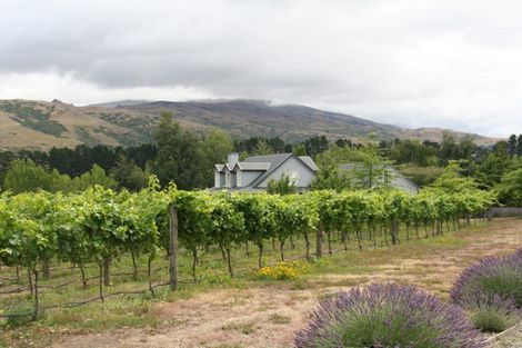 Photo of property in 141 Pearson Road, Cromwell, 9384