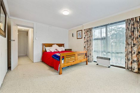 Photo of property in 17 Lane Place, Awapuni, Palmerston North, 4412