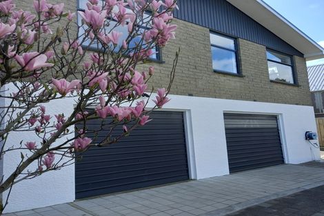 Photo of property in 54 Salmond Street, Halfway Bush, Dunedin, 9010