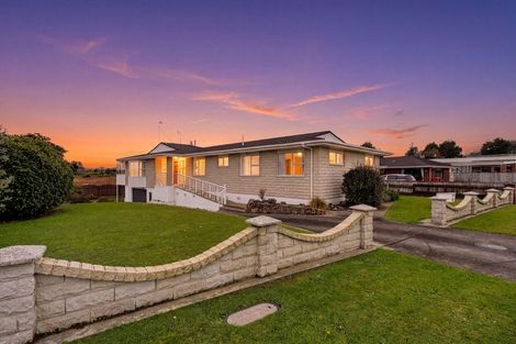 Photo of property in 62 Kawiu Road, Levin, 5510