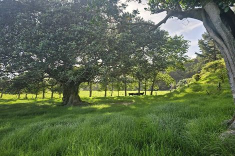 Photo of property in 121 Ohawini Road, Oakura, Hikurangi, 0184