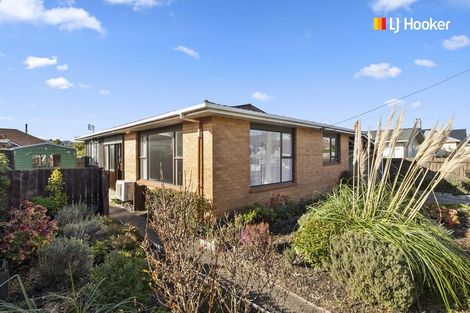 Photo of property in 8 Culling Street, Saint Kilda, Dunedin, 9012