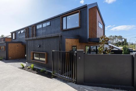 Photo of property in 213 Meola Road, Point Chevalier, Auckland, 1022