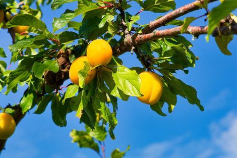 Photo of property in 759 Mount Fyffe Road, Kaikoura Flat, Kaikoura, 7371