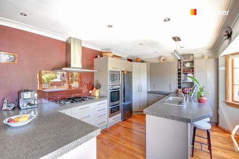 Photo of property in 22 Saddleview Place, Fairfield, Dunedin, 9018