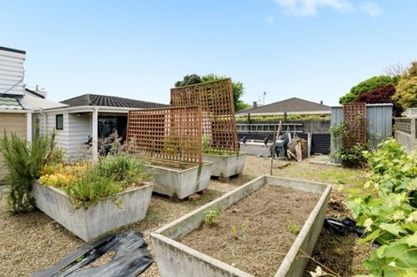 Photo of property in 68 Thirteenth Avenue, Tauranga South, Tauranga, 3112