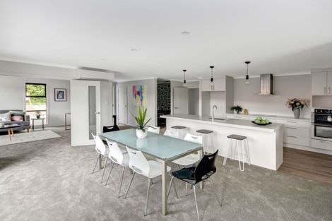 Photo of property in 111 Formby Street, Outram, 9019