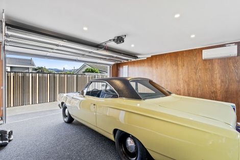 Photo of property in 239 The Esplanade, Petone, Lower Hutt, 5012