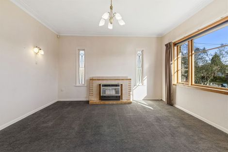 Photo of property in 12 Darley Street, Maeroa, Hamilton, 3200