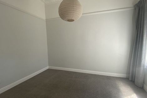 Photo of property in 17 Horner Street, Newtown, Wellington, 6021