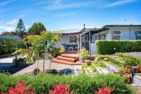 Photo of property in 36 Plassey Street, Havelock North, 4130