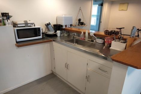 Photo of property in 120 Williamson Avenue, Grey Lynn, Auckland, 1021