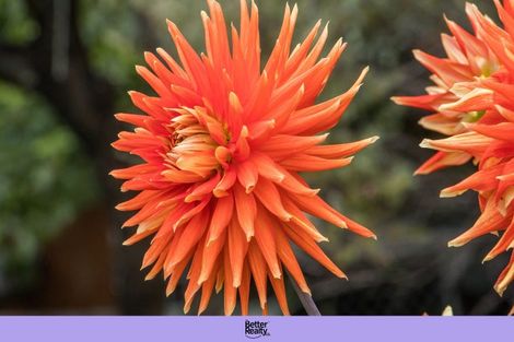 Photo of property in 10 Richmal Street, Waihi, 3610