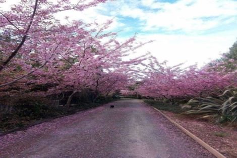 Photo of property in 1 Avenue Road, Greenmeadows, Napier, 4112