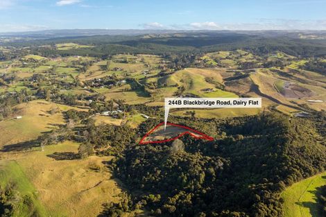 Photo of property in 244b Blackbridge Road, Dairy Flat, 0794