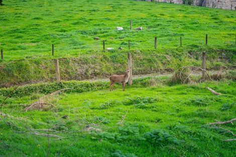 Photo of property in 987 Mangaehu Road, Puniwhakau, Stratford, 4392