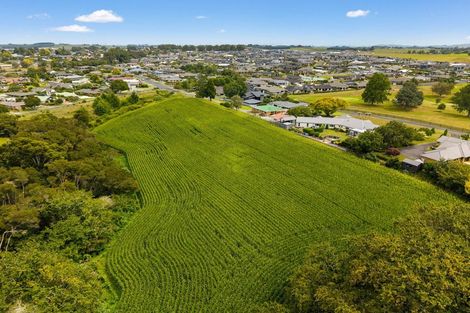 Photo of property in 6 Seales Road, Morrinsville, 3374