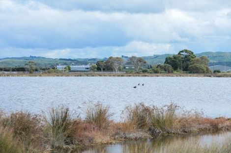 Photo of property in 55 Watchman Road, Westshore, Napier, 4110