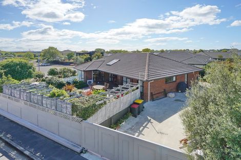 Photo of property in 19 Saint Pauls Place, Burwood, Christchurch, 8083