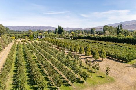 Photo of property in 190 Airport Road, Alexandra, 9391